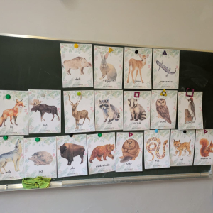 Zajęcia kształtujące świadomość ekologiczną/Mieszkańcy lasu/listopad 2025/0b