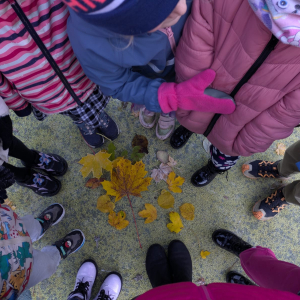 Zajęcia kształtujące świadomość ekologiczną/Jesienny spacer połączony z obserwacją zmian zachodzących w przyrodzie- jesienne liście/październik 2025/0b