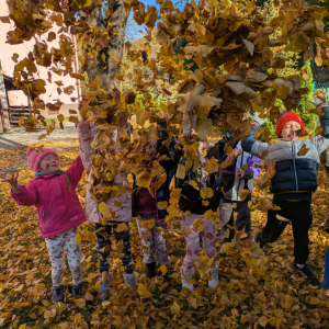 Zajęcia kształtujące świadomość ekologiczną/Jesienny spacer połączony z obserwacją zmian zachodzących w przyrodzie- jesienne liście/październik 2025/0b