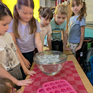 Zajęcia kształtujące świadomość ekologiczną/Krążenie wody w przyrodzie-eksperymenty-parowanie, skraplanie, zamarzanie/czerwiec 2025/0b